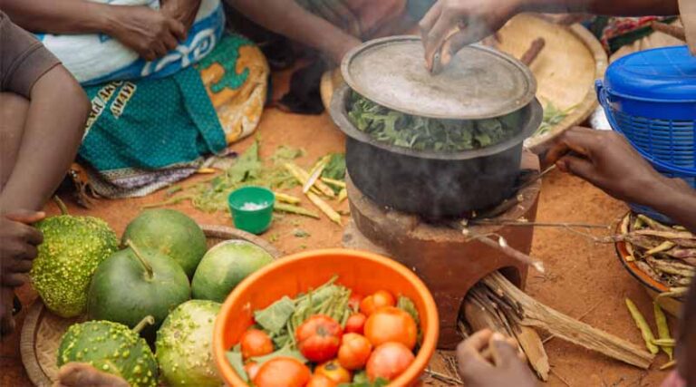 New Report Identifies Progress And Challenges In Food Systems Transformation In Countdown To 2030