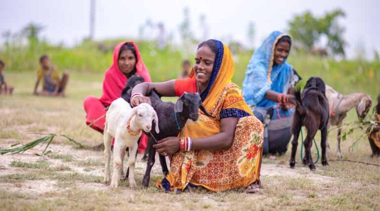 Bihar’s Goat Entrepreneurs Reach New Heights with Weight-Based Pricing