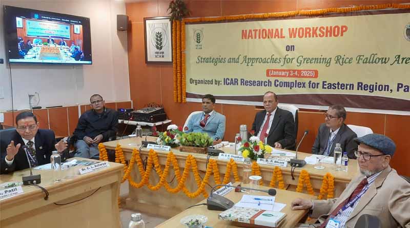 Integrated Approach Required for Greening Rice Fallow Areas: Dr. S.K. Chaudhari