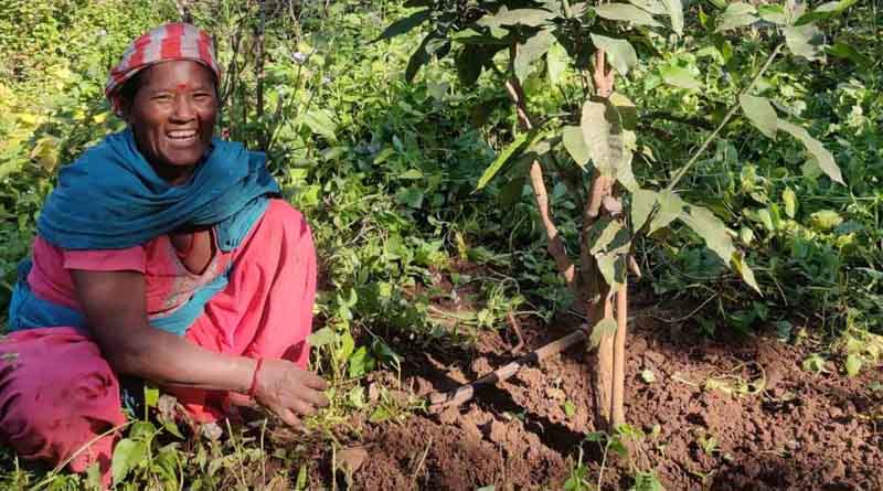 Sowing a Seed of Hope: Transforming Lives through Mixed Farming in Nepal