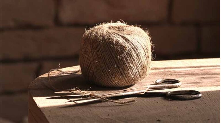 Cabinet Approves Minimum Support Prices (MSP) For Raw Jute For 2025-26 Season