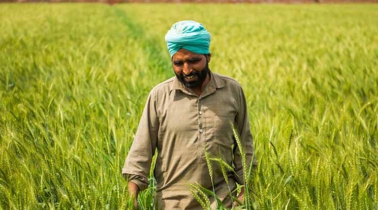 Biofortification: Future Challenges for a Newly Emerging Technology to Improve Nutrition Security Sustainably