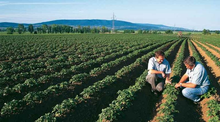Bayer and Ecospray Reach Distribution Agreement for New Garlic-Sourced Biological Crop Protection Product