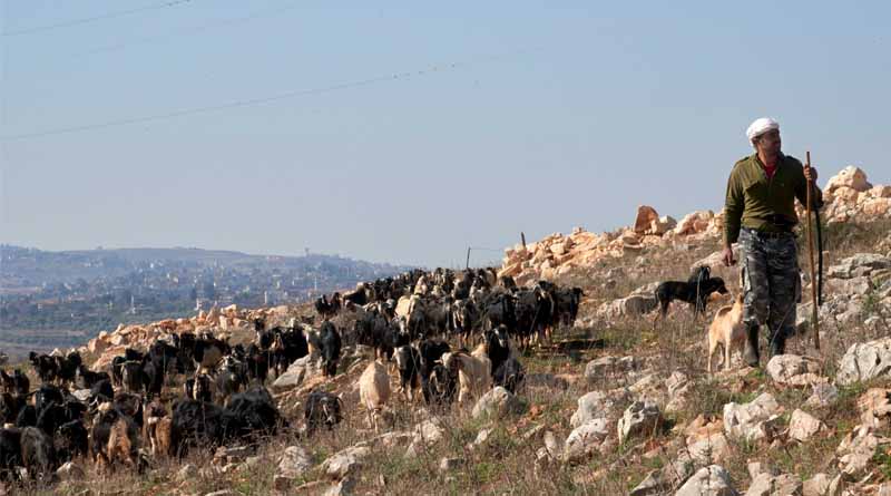 Food Insecurity Deepens In Lebanon Following Conflict, New Report Shows