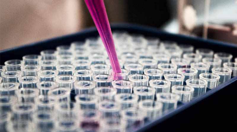 Tebuconazole: A Triazole Fungicide for Crop Protection