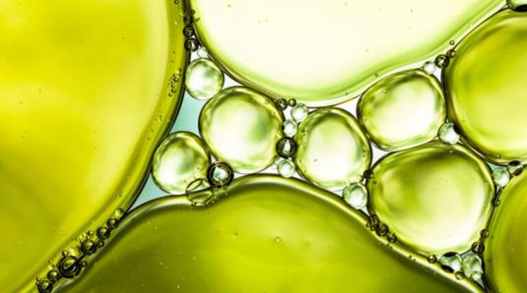 The Regulatory Landscape for Biological Products
