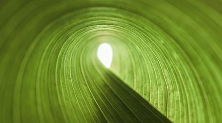 The Role of Biological Products in the Evolving Landscape of Agriculture