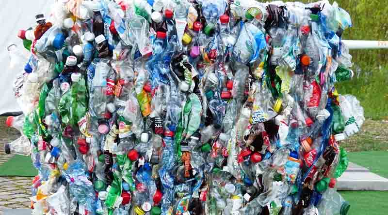 2025 Global Food Contact Materials & Recycled Plastics Regulations: Key Updates & Compliance Tips
