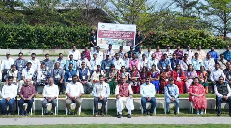 Odisha Initiated Post-harvest Management and Export Orientation for Fpos in Association With Sahyadri Farms