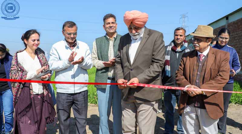 Haryana Farmers to Cultivate Low-Chilling Temperate Fruit Apple, Pear, Peach, and Plum