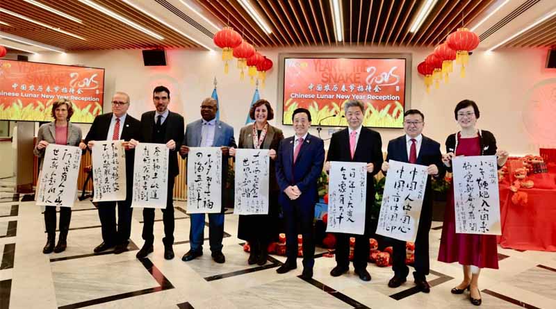 FAO celebrates Chinese Lunar New Year with focus on transformation and call for global solidarity