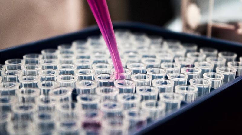 Glyphosate: A Patented Herbicide for Broad-Spectrum Weed Control