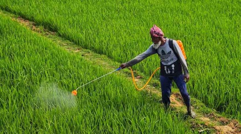 CCFI Opposes Reduction in GST on Agrochemicals, Citing Harm to Indigenous Manufacturers