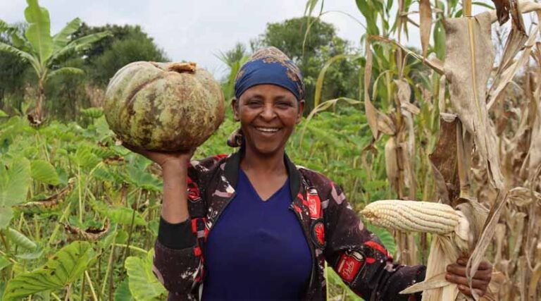 Scaling Conservation Agriculture-based Sustainable Intensification in Ethiopia (SCASI): Empowering Farmers and Engaging Development Partners