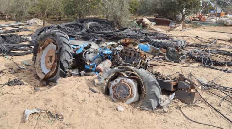 Gaza: Immediate Action Must Combine Emergency Relief With The Restoration Of Local Food Production