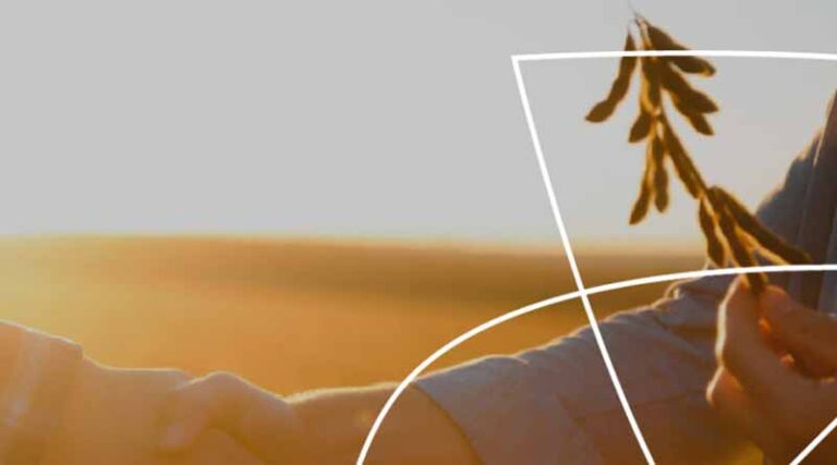 What The Agricultural Sector Expects From The Competitiveness Compass