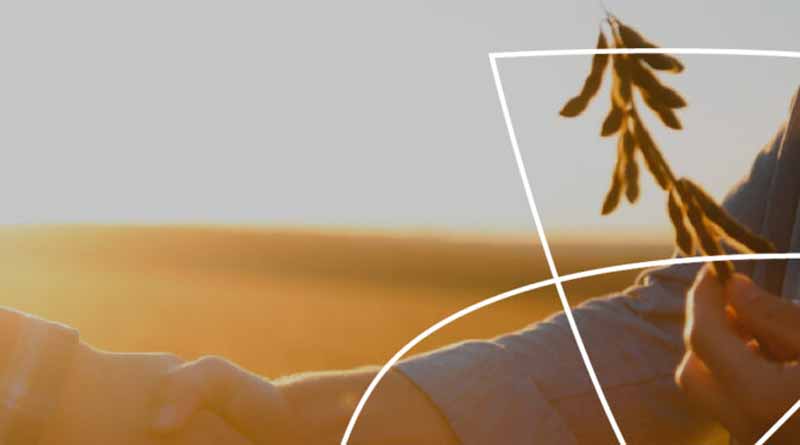 What The Agricultural Sector Expects From The Competitiveness Compass