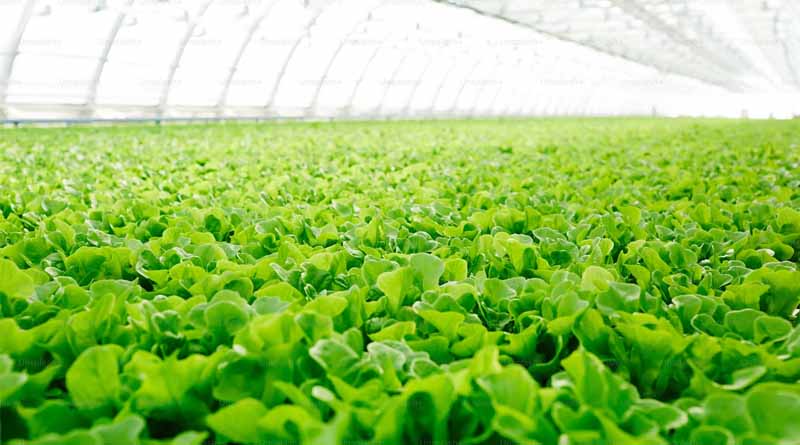 Integrated Farming System
