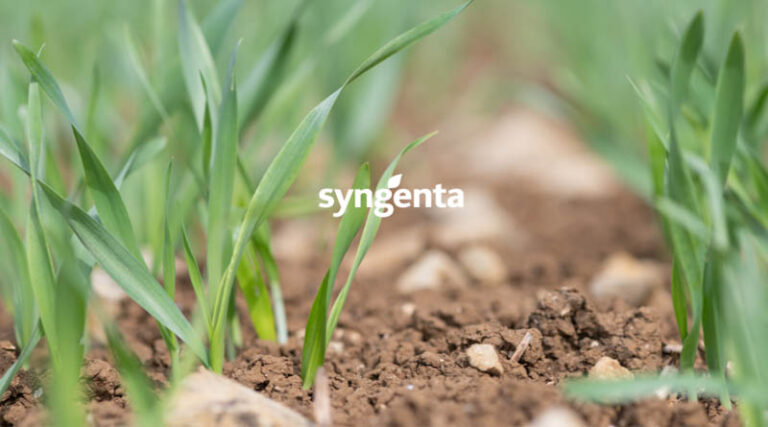 SY ARROW: Targeting The Future Of The Dual-purpose Malting Market