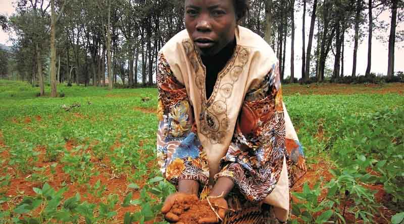Cabi Working In Partnership Towards Greater Nature-based Solutions For Sustainable Agriculture In Sub-sarhan Africa