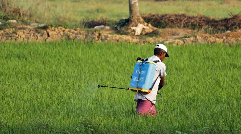 Dithane Now Part of UPL: What This Means for Agrochemical Industry and Fungicide Market