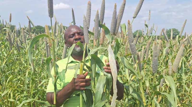Seeds of Hope: Overcoming Zimbabwe's Drought Crisis with Community-led Innovation