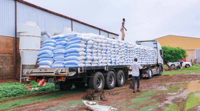 FAO Calls For Urgent Action To Address Widening Famine In Sudan