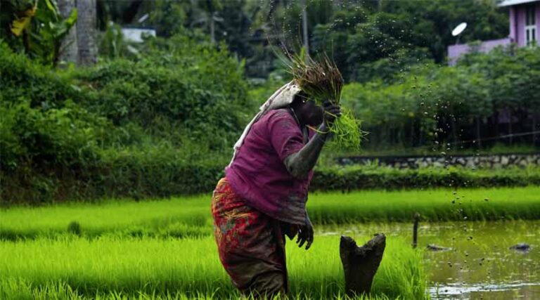 Can Budget 2025 Deliver on Promises for Indian Farmers?