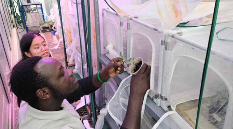 Meet Patrice The PHD Student From Burundi Helping To Tackle One Of The World’s Most Invasive And Noxious Weeds