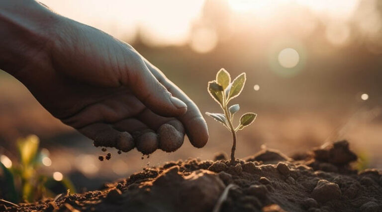 Webinar Series Explores Ways To Strengthen Capacity On International Movement Of Seeds