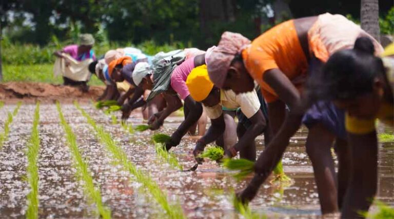 Union Budget 2025: Opportunities for Farmers and Agri-Tech Innovation