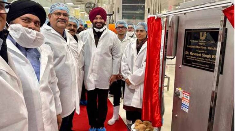 Punjab to Boost Tomato Production and Paste Manufacturing