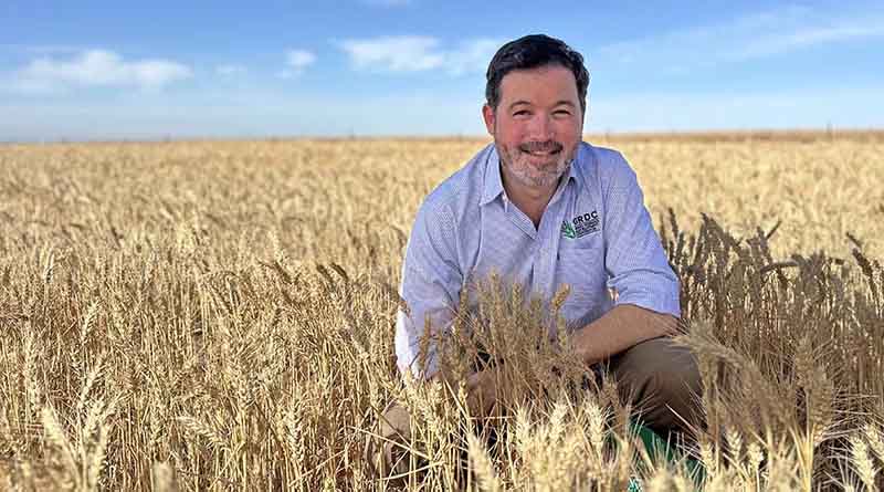 Celebrating 20 years of GRDC’s National Variety Trials
