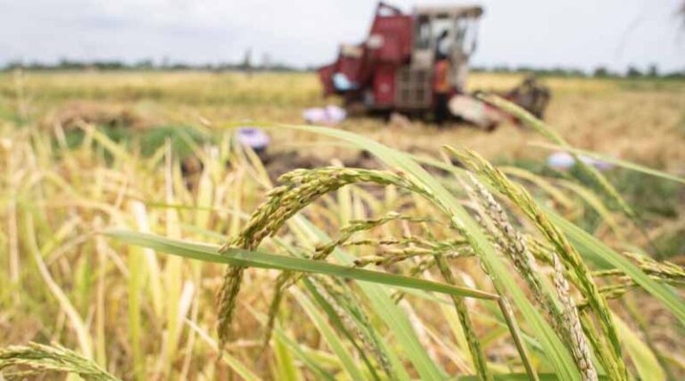 New Report Highlights Critical Food System Trends And Challenges In Countdown To 2030