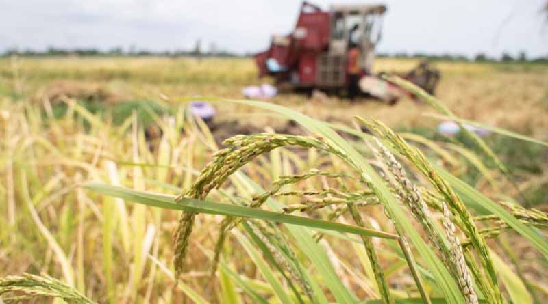 New Report Highlights Critical Food System Trends And Challenges In Countdown To 2030