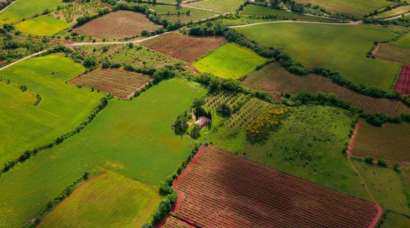 Agriculture Land India