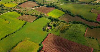 How to Buy Agricultural Land in India: Eligibility, Key Steps, Frauds and Precautions