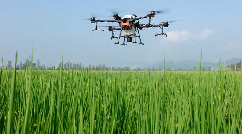 Low Water, High Risk? Why Drone-Based Pesticide Spraying Raises Concerns