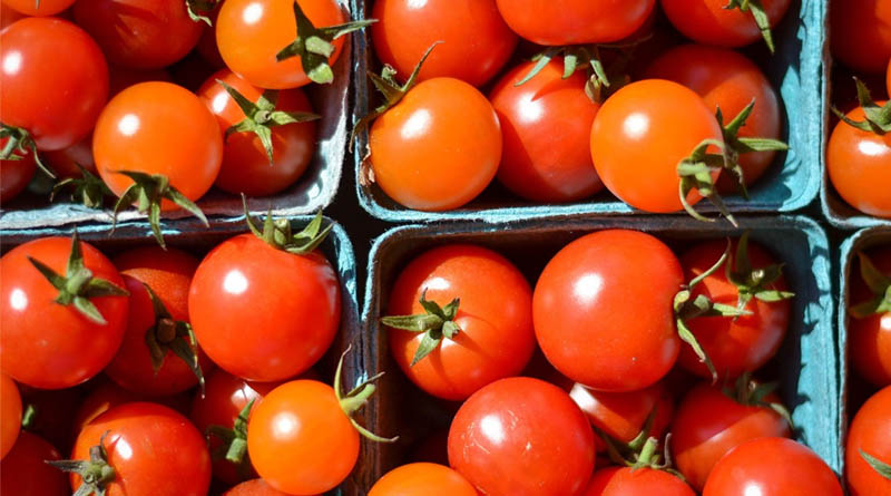 Government Implements Transport Subsidy Under Market Intervention Scheme to Support Tomato Farmers