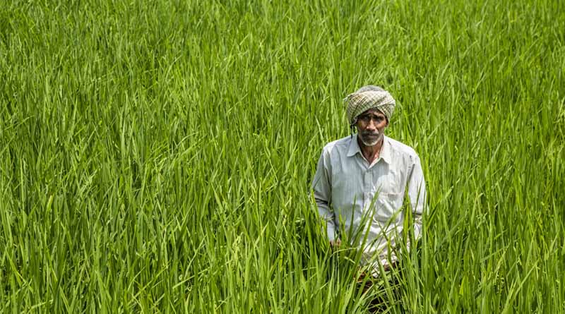 India's Agri Research and Education Budget Nears ₹10,000 Crore