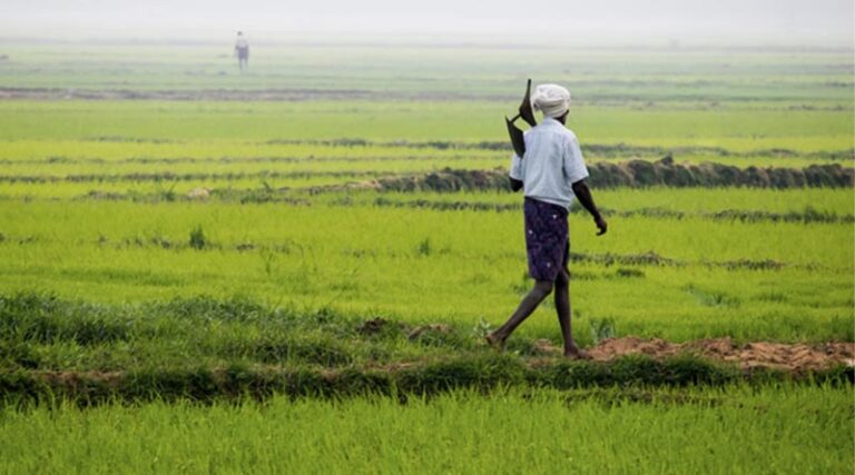 Over 2 Crore Digital Farmer IDs Created; Target Set for 11 Crore by 2026-27