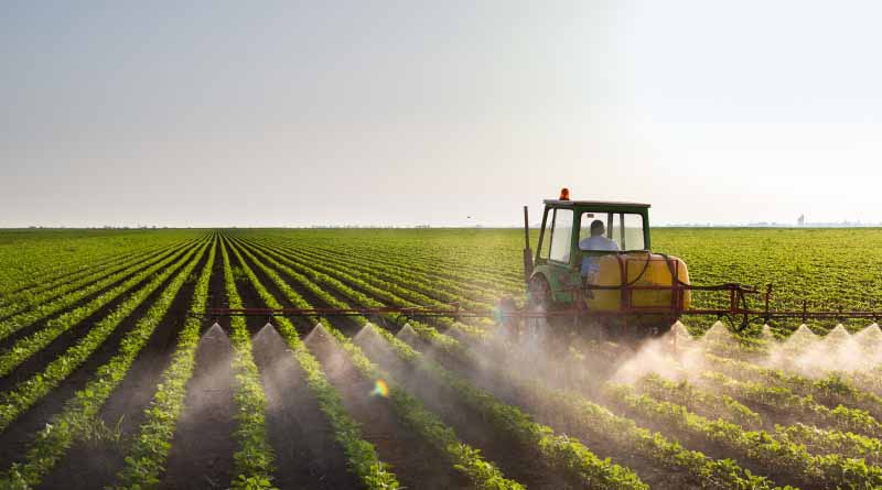 Legal Action Seeks to Force EPA to Protect People From Atrazine