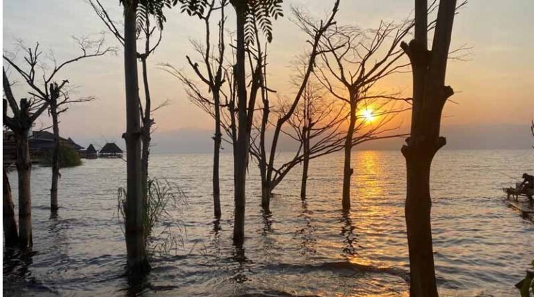 From Crisis to Growth: 11 Lessons Learned Leading Agricultural Development in Burundi