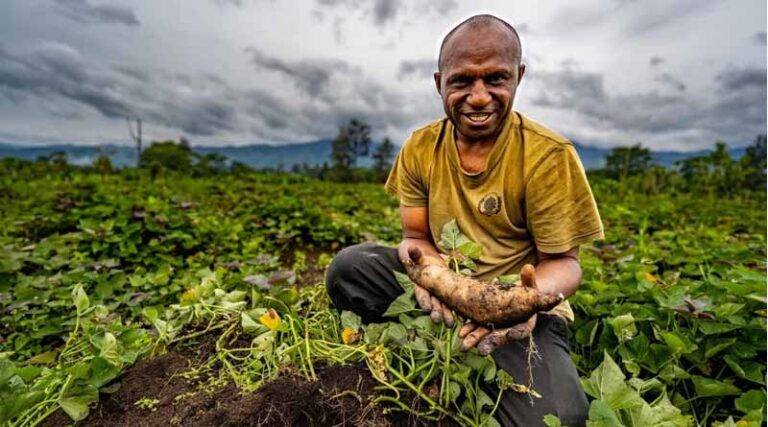 Plan B for Backup: Sweetpotato Seeds Go to Svalbard
