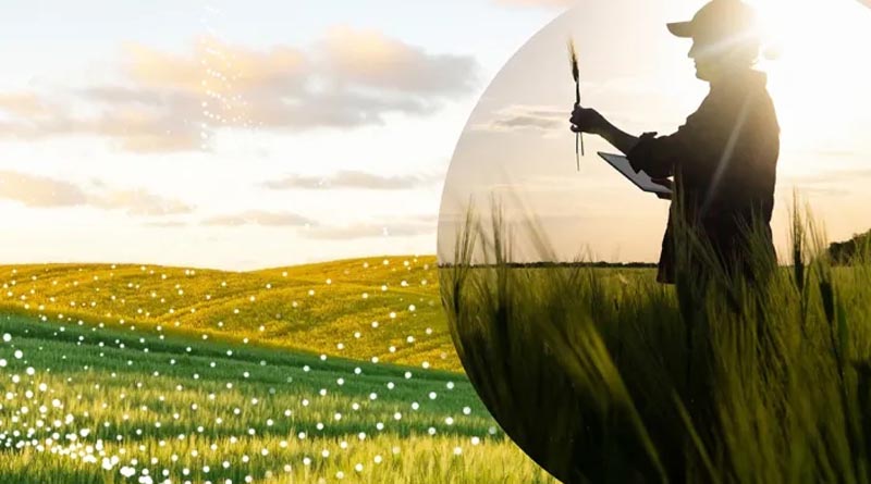 Sustainability In Agriculture Gets A Boost With Global Biologicals Partnership