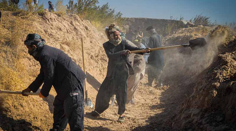Japan contributes $11.9 million to scale up FAO’s emergency and resilience activities
