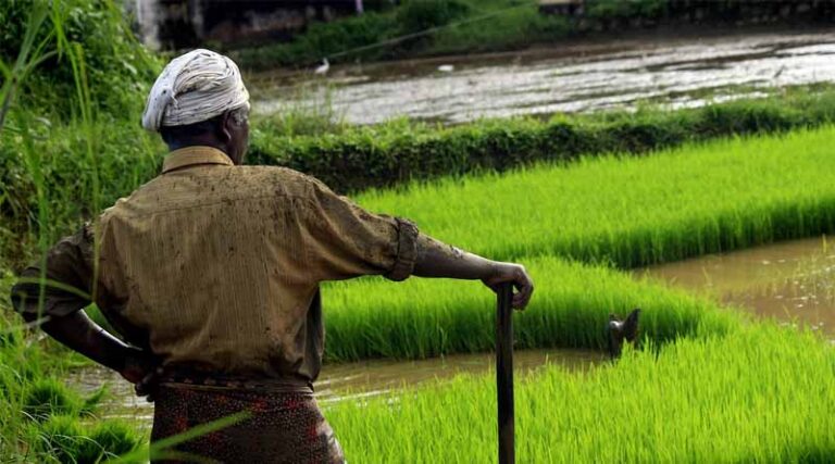 Government Recognizes Organic Carbon Enhancers from Compressed Bio Gas Plants as Fertilizer