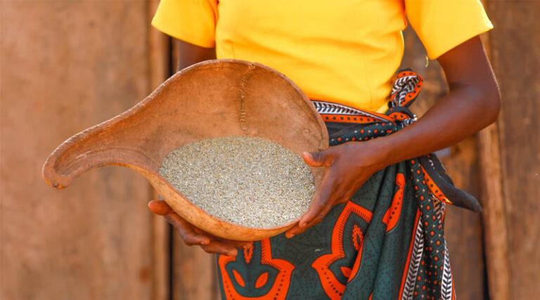 Empowering Women Through Smart Food Training in Balleyara, Niger