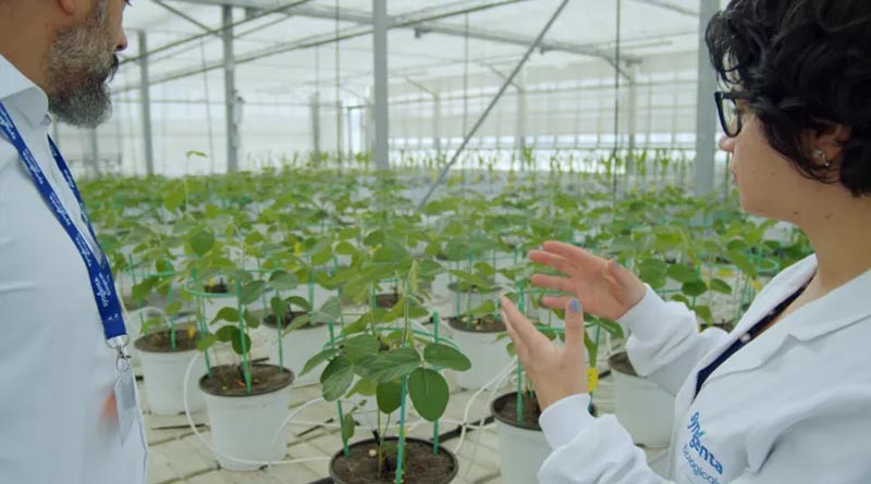 Syngenta Strengthens Global Leadership In Agricultural Biologicals