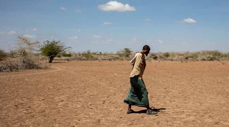 Somalia: Drought, Conflict And High Food Prices Risk Pushing 4.4 Million People Into Hunger, The Federal Government of Somalia and UN warn